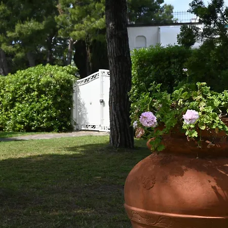 Azalee - Numana, Meraviglioso Trilocale Con 500mq Di Giardino *