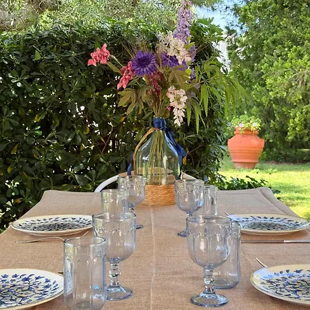 Azalee - Numana, Meraviglioso Trilocale Con 500mq Di Giardino * Numana